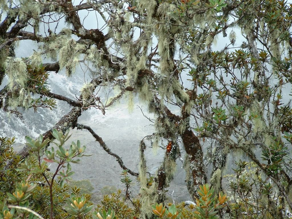 Parque Nacional Volc N Bar